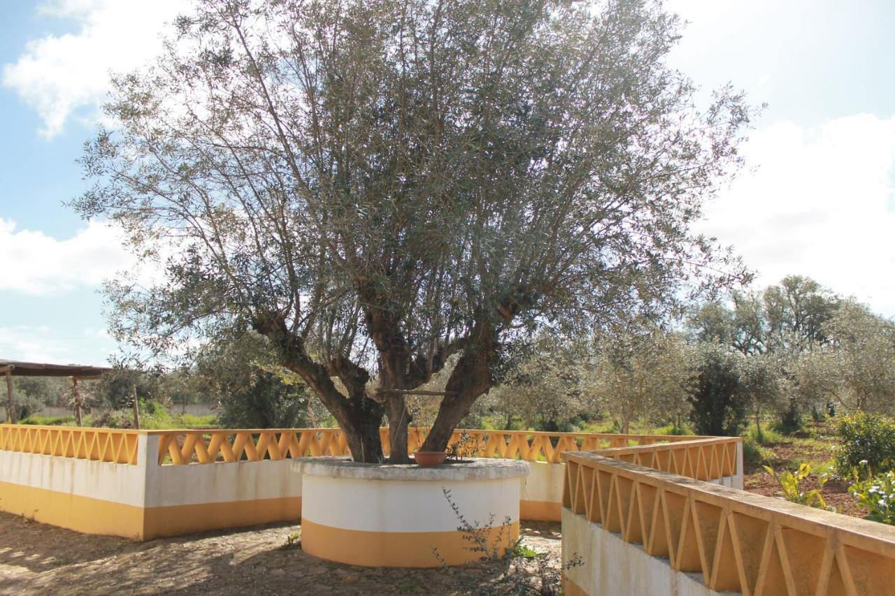 Montinho Do Palanque Villa Viana do Alentejo Eksteriør bilde